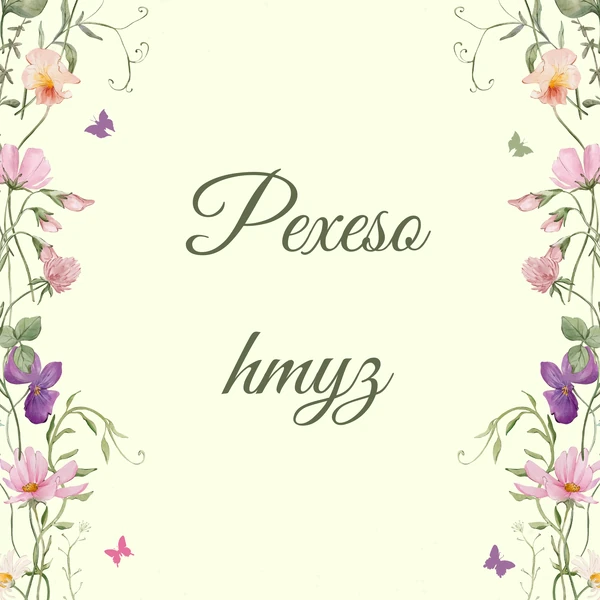 Pexeso - hmyz