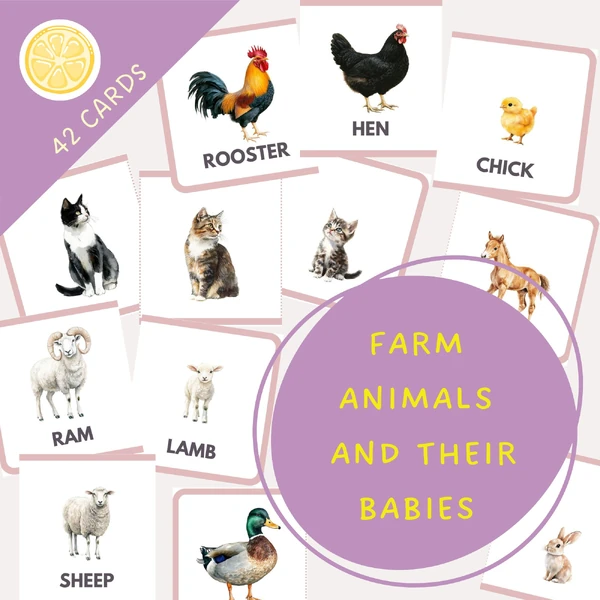 FARM ANIMALS AND THEIR BABIES - FLASHCARDS | obrázkové kartičky v angličtině