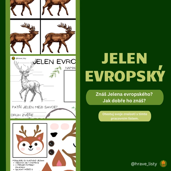 Jelen evropský