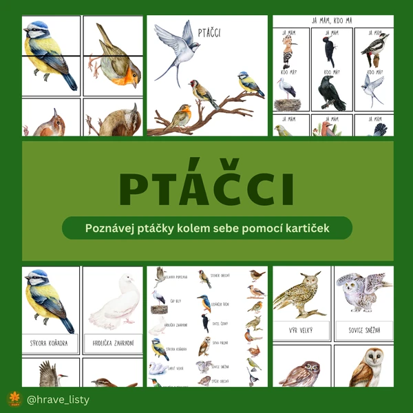 Ptáčci