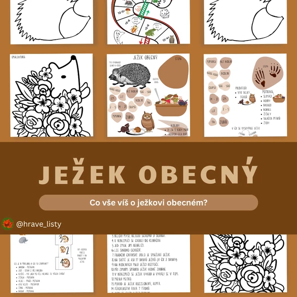 Ježek