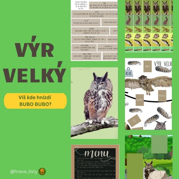 Výr velký