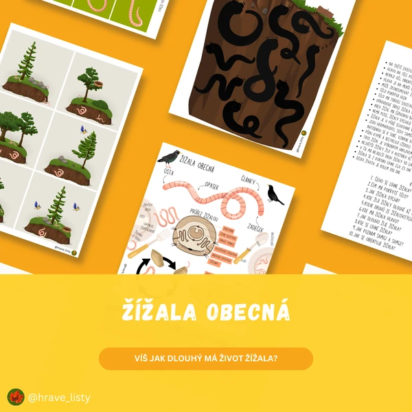 Žížala obecná