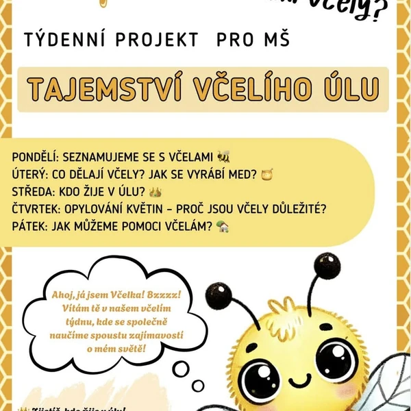 Včely - projekt 