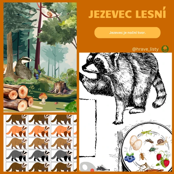Jezevec lesní