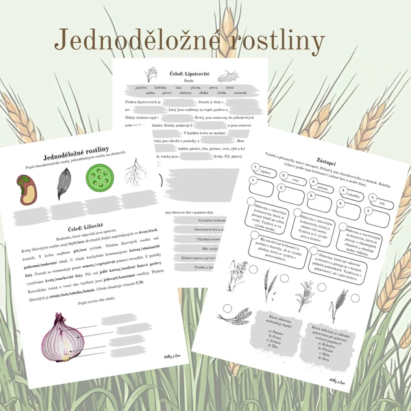 Jednoděložné rostliny
