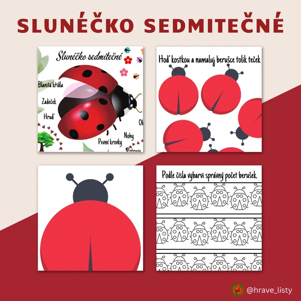 Slunéčko sedmitečné