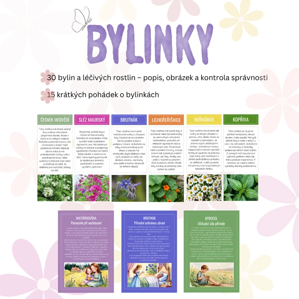 Léčivé rostliny, bylinky