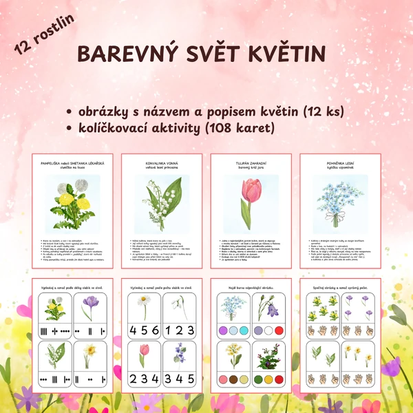 Barevný svět květin - 12 obrázků květin, kolíčkovací aktivity