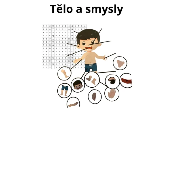 Tělo a smysly