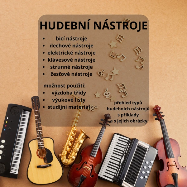 HUDEBNÍ NÁSTROJE