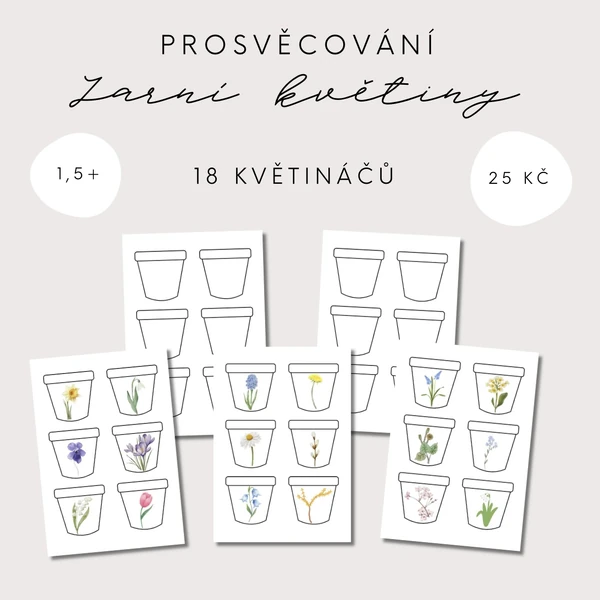 Prosvěcování květináčů - jarní květiny