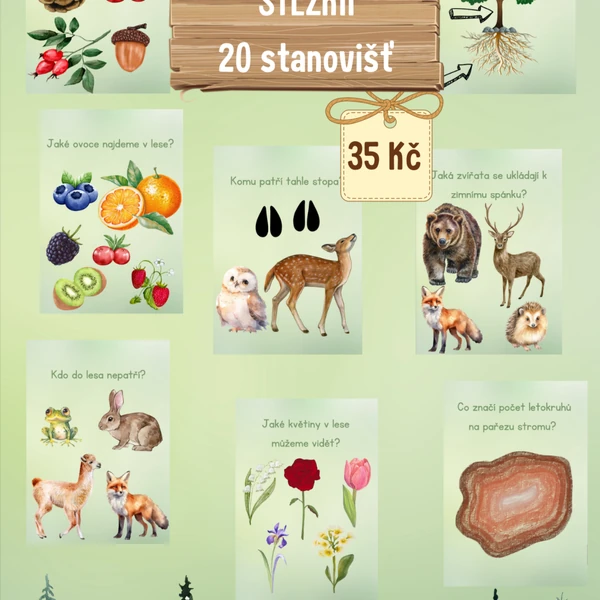 🌲 LESNÍ NAUČNÁ STEZKA / LESNÍ PLOTOVKA 🦌 🍂 