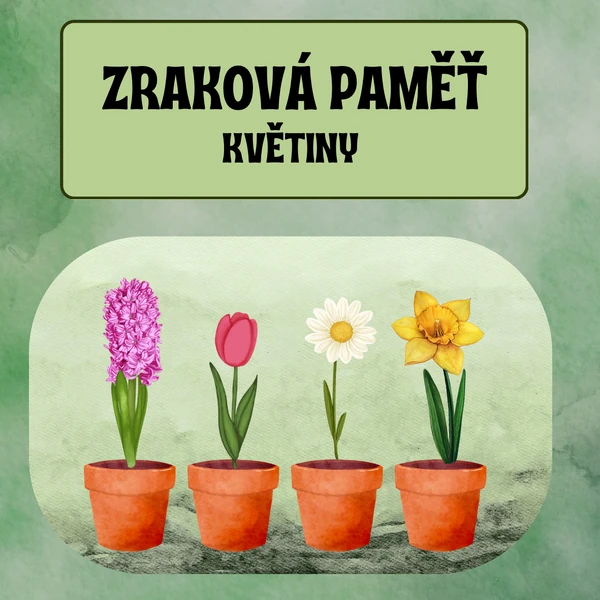 Zraková paměť - květiny