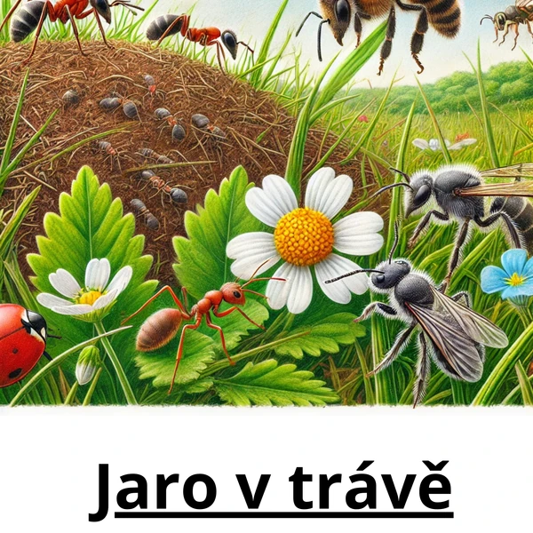 Jaro v trávě
