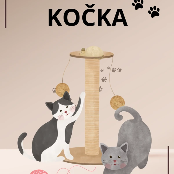 KOČKA 🐈