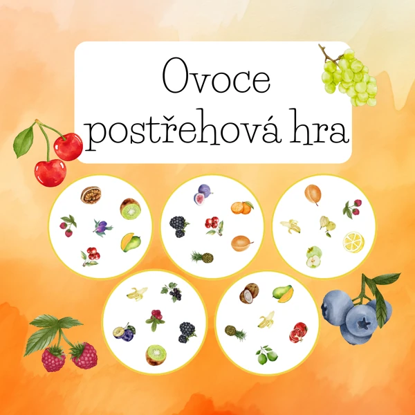 Ovoce postřehová hra