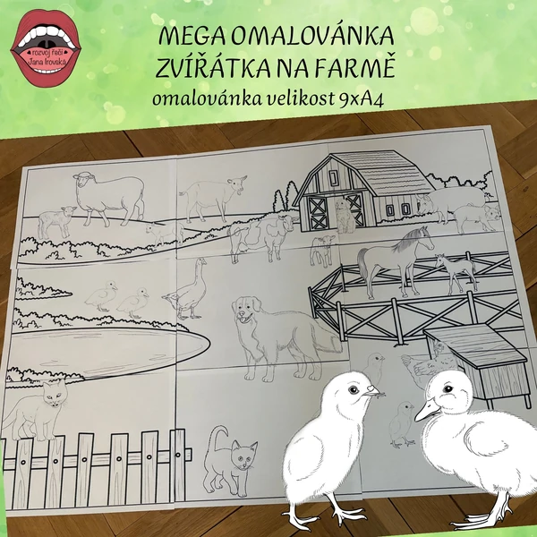 MEGA OMALOVÁNKA ZVÍŘÁTKA NA FARMĚ