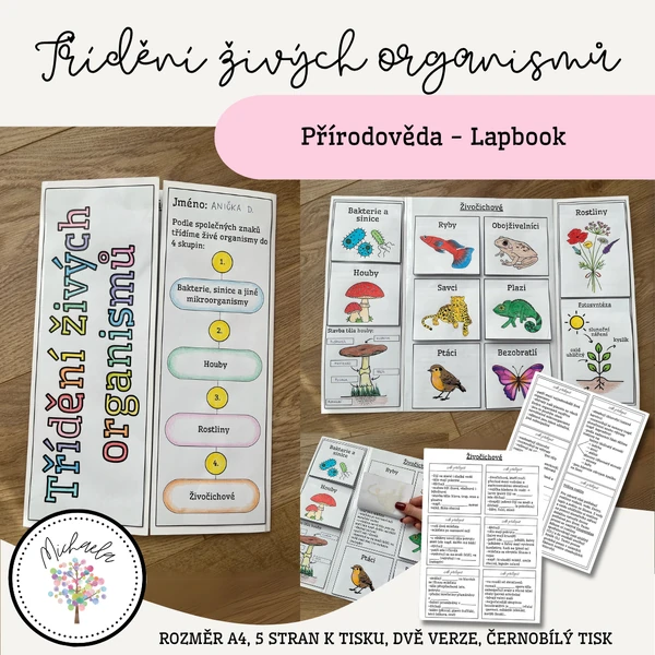 Lapbook - třídění živých organismů
