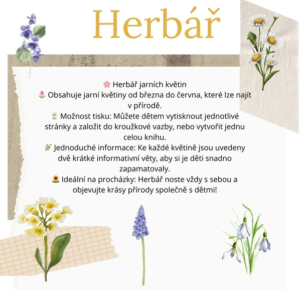 Herbář 🌼