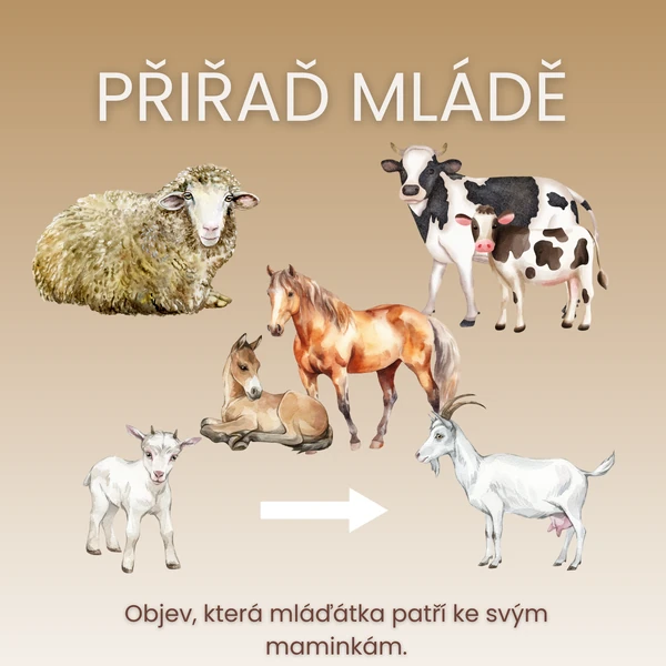Přiřaď mládě