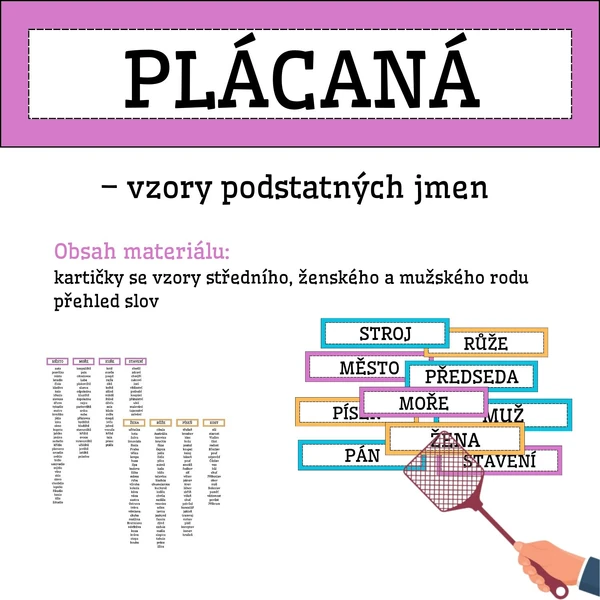 PLÁCANÁ - vzory podstatných jmen