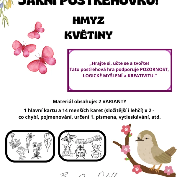 Jarní postřehovka - vybarvi si sám (KVĚTINY A HMYZ)