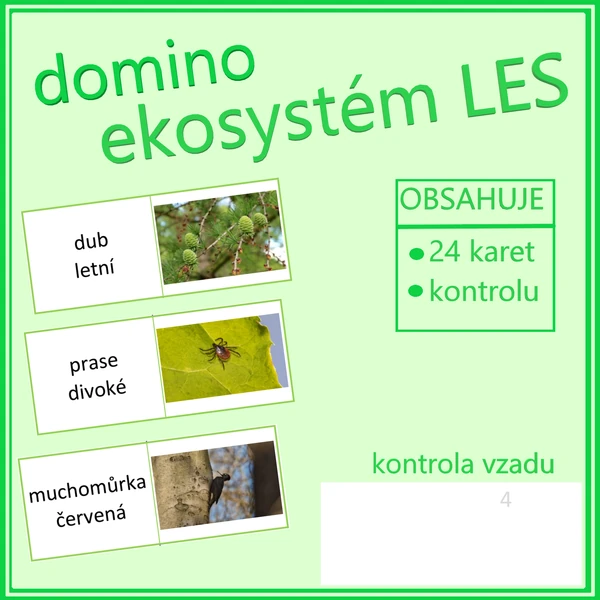 Domino - ekosystém LES