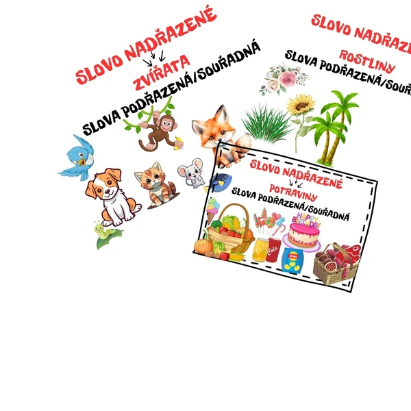 Slova nadřazená, podřazená a souřadná