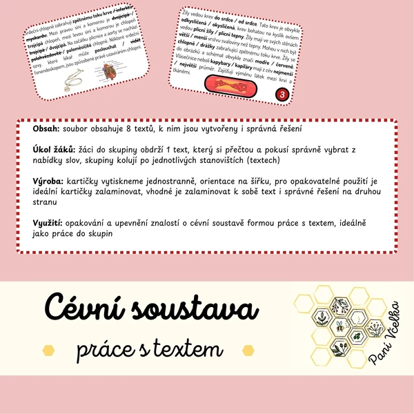 Cévní / oběhová soustava - skupinová práce