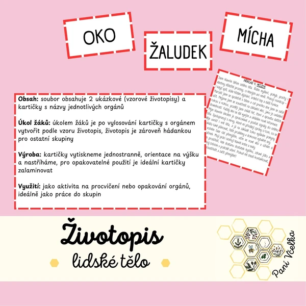 Životopis - lidské tělo