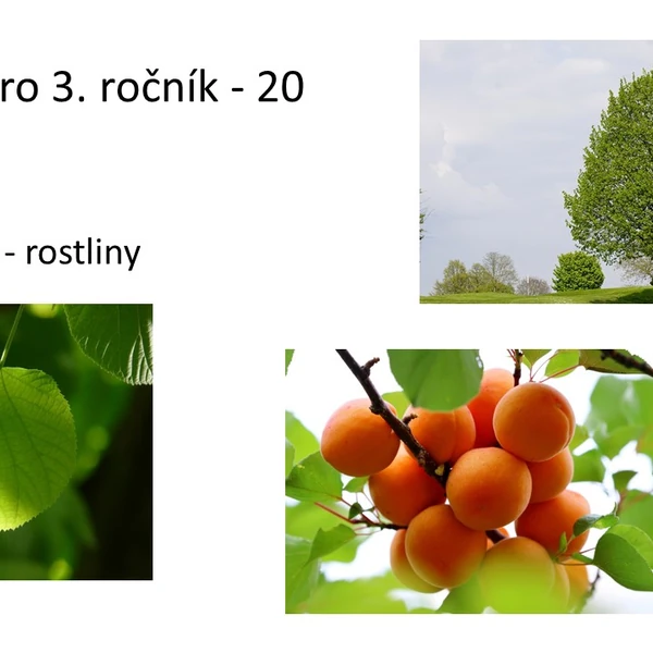 Prvouka pro 3. ročník - 20