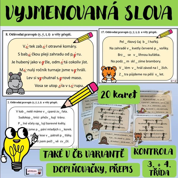 Rychlovky - vyjmenovaná slova věty mix