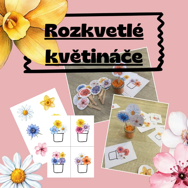 Květiny v květináčích