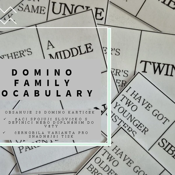 Family vocabulary - domino