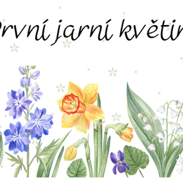 První jarní květiny - spojování + stínohra