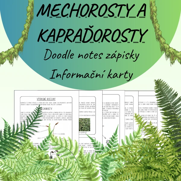 Mechorosty a kapraďorosty - informační karty/párové čtení