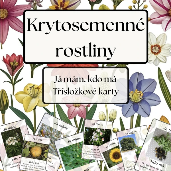 Krytosemenné rostliny - já mám, kdo má a třísložkové karty