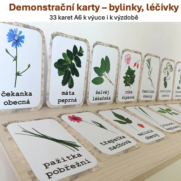 Demonstrační karty - Bylinky, léčivé rostliny