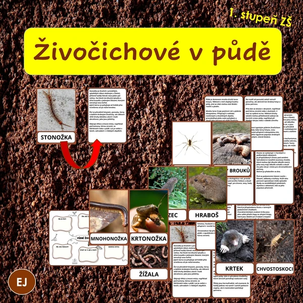 Živočichové v půdě