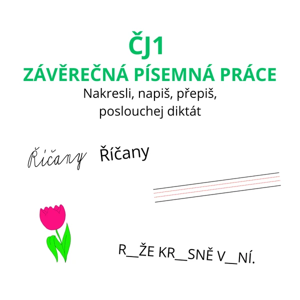 ČJ1 - ZÁVĚREČNÁ PÍSEMNÁ PRÁCE