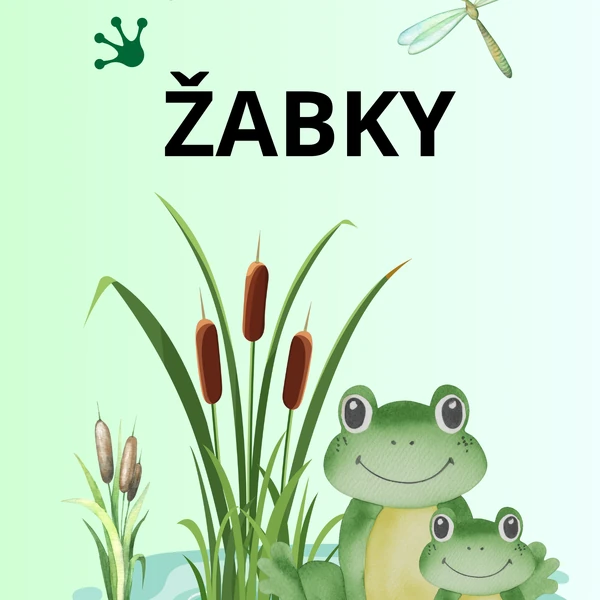 ŽABKY 🐸