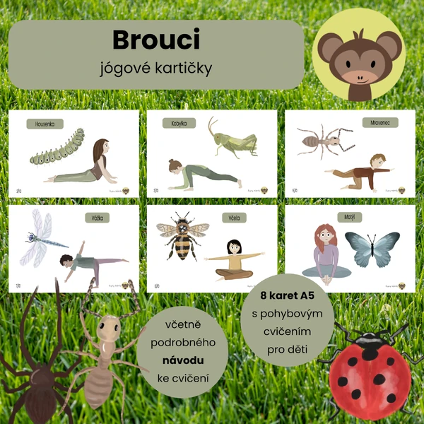 Brouci - jógové kartičky 