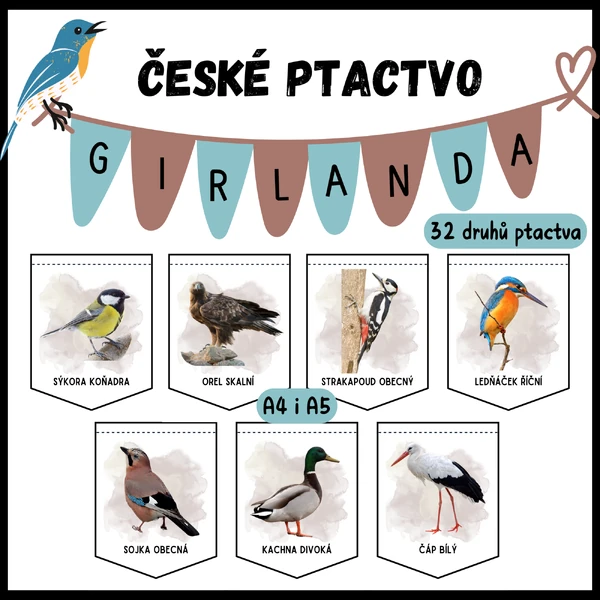 ČESKÉ PTACTVO - girlanda/demonstrační karty