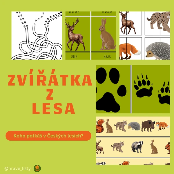 Zvířátka v lese