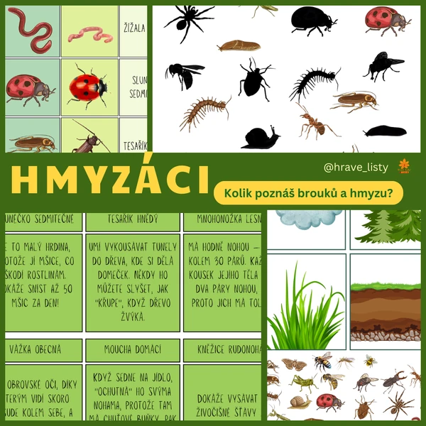 Hmyzáci
