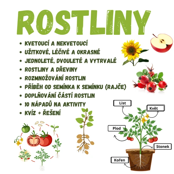 Rostliny - příběh od semínka k semínku, byliny, dřeviny, kvetoucí, nekvetoucí, rozmnožování, části rostlin...