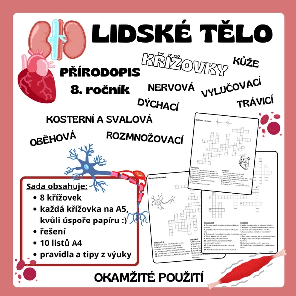 Křížovky - Lidské tělo