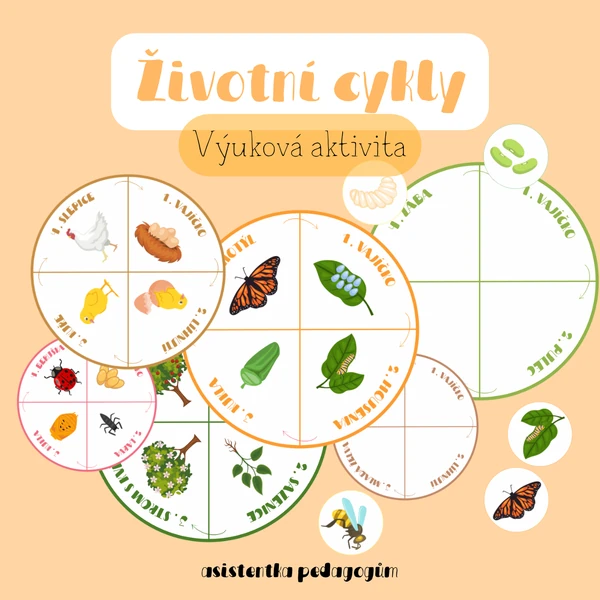 Životní cykly - 8 životních cyklů 