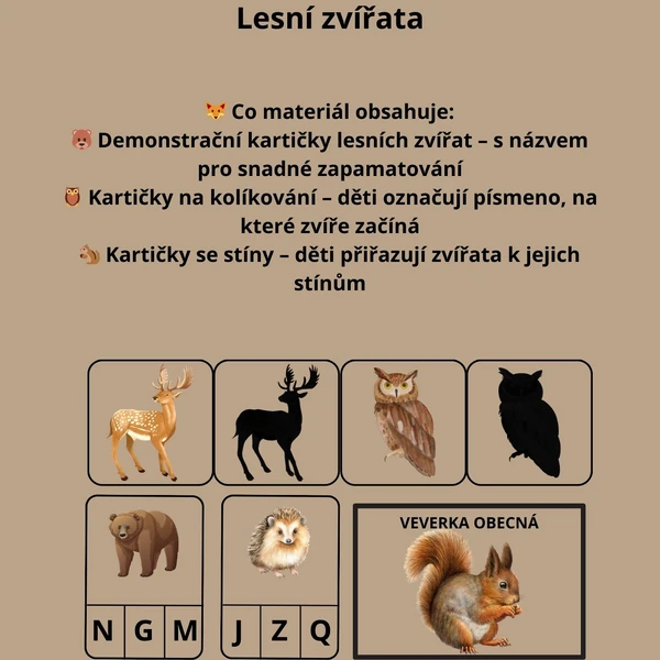 Lesní zvířata 🦊🐾